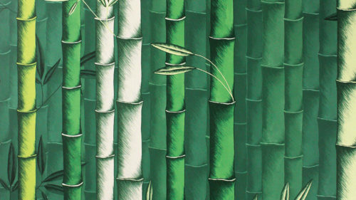 Bamboo W7025-01